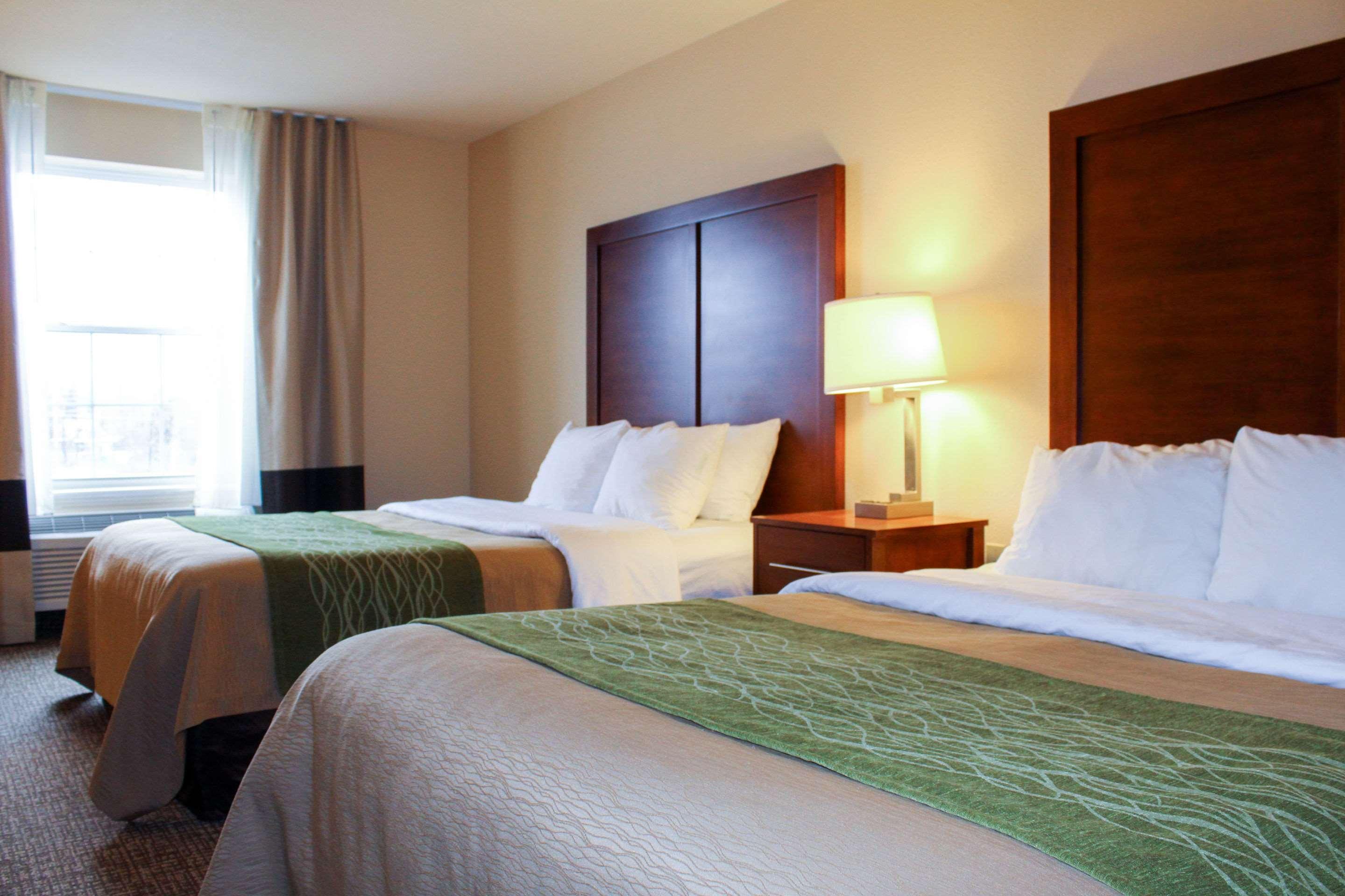 Comfort Inn & Suites St Louis - Chesterfield Court House Buitenkant foto