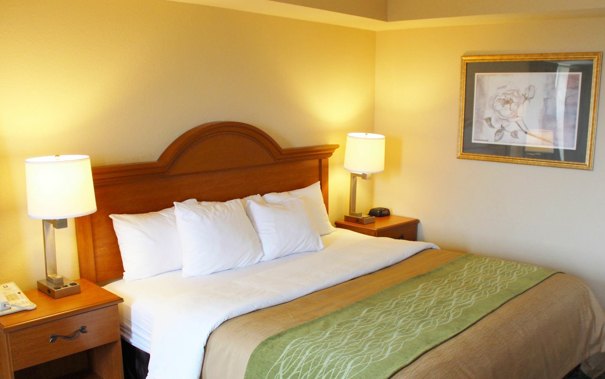 Comfort Inn & Suites St Louis - Chesterfield Court House Buitenkant foto